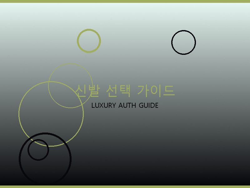 네오노에BB 레플 사이트 신발 선택 가이드